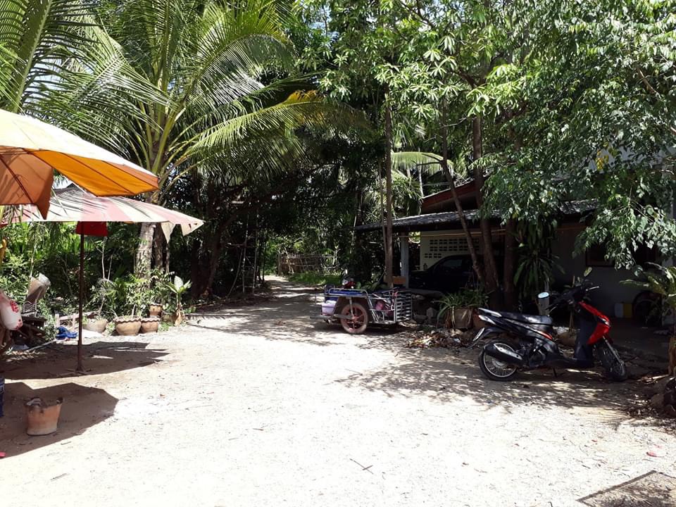 ทางเข้าบ้านและบริเวณภายใน